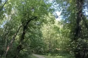 8487 Botha Rd, Warrenton, VA 20186 - Photo 66