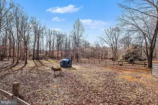 8318 Diamond Hill Rd, Warrenton, VA 20186 - Photo 74