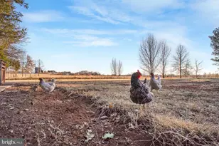 10245 Anchor Ct, Bealeton, VA 22712 - Photo 26