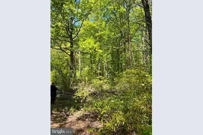 Elk Run, Bealeton, VA 22712 - Photo 10