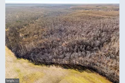 Spring Mill Road, Goldvein, VA 22720 - Photo 16
