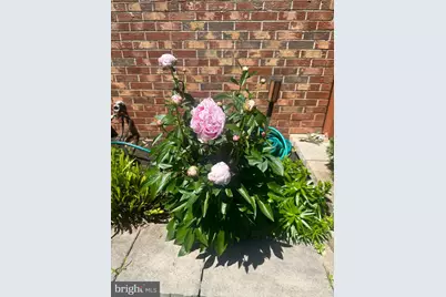 Warrenton Road, Goldvein, VA 22720 - Photo 1