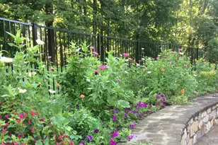 3850 Cobbler Mountain Rd, Delaplane, VA 20144 - Photo 116