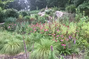 3850 Cobbler Mountain Rd, Delaplane, VA 20144 - Photo 122