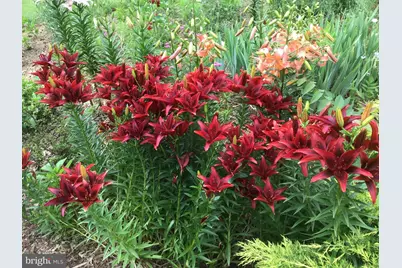 3850 Cobbler Mountain Road, Delaplane, VA 20144 - Photo 16