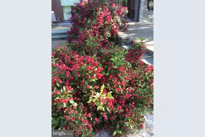 3850 Cobbler Mountain Road, Delaplane, VA 20144 - Photo 18