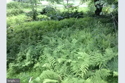 3850 Cobbler Mountain Road, Delaplane, VA 20144 - Photo 108