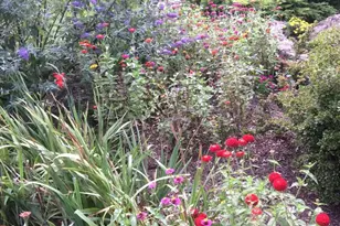 3850 Cobbler Mountain Rd, Delaplane, VA 20144 - Photo 90