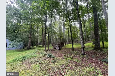 13220 Blackwood Forest Drive, Goldvein, VA 22720 - Photo 46
