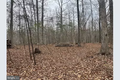 13220 Blackwood Forest Drive, Goldvein, VA 22720 - Photo 18