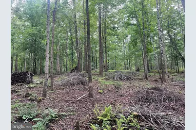 13220 Blackwood Forest Drive, Goldvein, VA 22720 - Photo 36