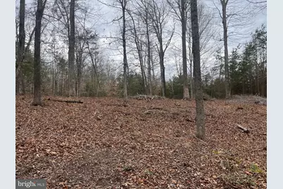 13220 Blackwood Forest Drive, Goldvein, VA 22720 - Photo 20