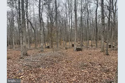 13220 Blackwood Forest Drive, Goldvein, VA 22720 - Photo 14