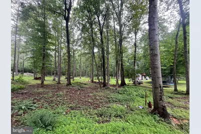 13220 Blackwood Forest Drive, Goldvein, VA 22720 - Photo 44