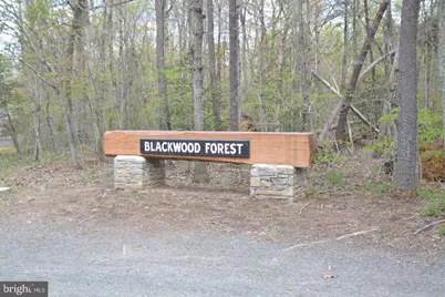 13220 Blackwood Forest Drive, Goldvein, VA 22720 - Photo 6