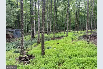 13220 Blackwood Forest Drive, Goldvein, VA 22720 - Photo 38