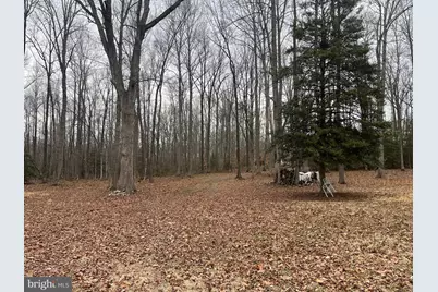 13220 Blackwood Forest Drive, Goldvein, VA 22720 - Photo 26