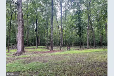 13220 Blackwood Forest Drive, Goldvein, VA 22720 - Photo 28