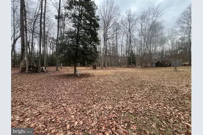 13220 Blackwood Forest Drive, Goldvein, VA 22720 - Photo 8