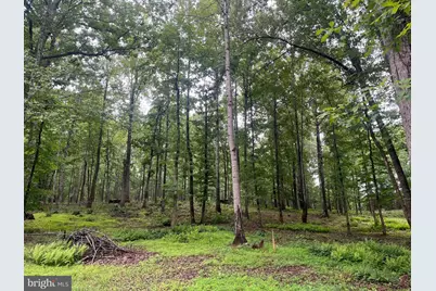 13220 Blackwood Forest Drive, Goldvein, VA 22720 - Photo 50