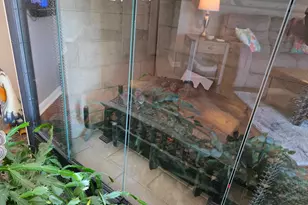 5639 Balls Mill Rd, Midland, VA 22728 - Photo 16