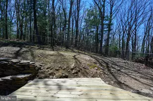 4562 Quail Run Dr, Marshall, VA 20115 - Photo 42