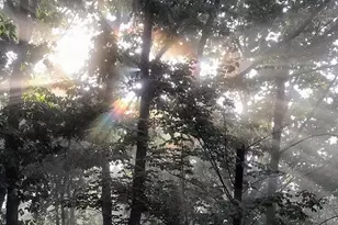 4562 Quail Run Dr, Marshall, VA 20115 - Photo 18