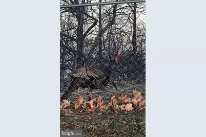 4562 Quail Run Drive, Marshall, VA 20115 - Photo 30