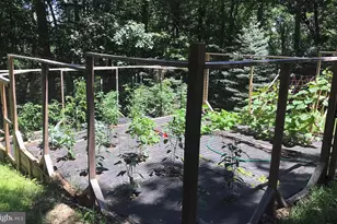 4562 Quail Run Dr, Marshall, VA 20115 - Photo 24