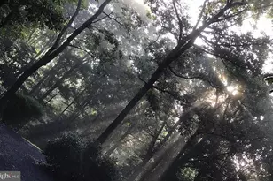 4562 Quail Run Dr, Marshall, VA 20115 - Photo 56