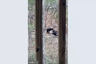 4562 Quail Run Drive, Marshall, VA 20115 - Photo 32