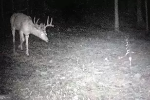 4562 Quail Run Dr, Marshall, VA 20115 - Photo 58