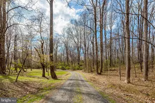 4645 Morgans Bluff Dr, Marshall, VA 20115 - Photo 48