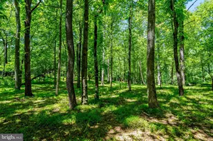 4645 Morgans Bluff Dr, Marshall, VA 20115 - Photo 48