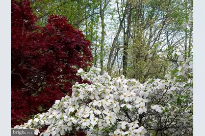 5556 Merry Oaks Road, The Plains, VA 20198 - Photo 8