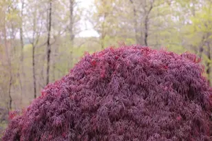 4752 Greene Love Ln, Marshall, VA 20115 - Photo 54