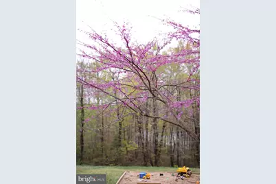 4752 Greene Love Lane, Marshall, VA 20115 - Photo 52