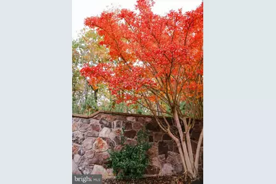 4752 Greene Love Lane, Marshall, VA 20115 - Photo 50