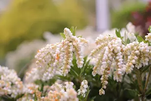 4752 Greene Love Ln, Marshall, VA 20115 - Photo 100