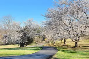 7360 Bear Wallow Dr, Warrenton, VA 20186 - Photo 2