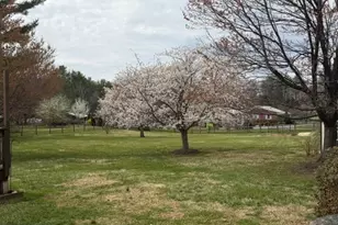 6774 Grays Mill Rd, Warrenton, VA 20187 - Photo 12