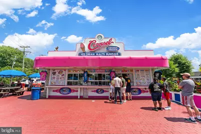 4045 Cray Drive, Warrenton, VA 20187 - Photo 100