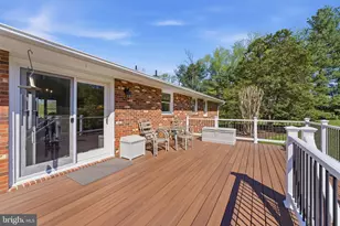 6163 Georgetown Rd, Broad Run, VA 20137 - Photo 54