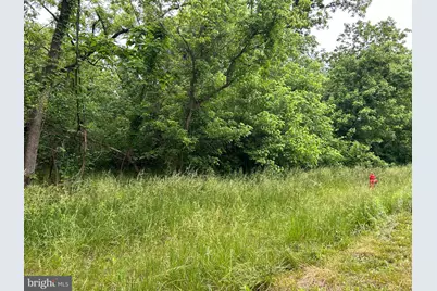 0 E Main Street, Marshall, VA 20115 - Photo 1