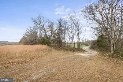 7389 Leeds Manor Rd, Marshall, VA 20115 - Photo 10