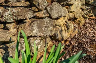 653 Federal St, Paris, VA 20130 - Photo 64