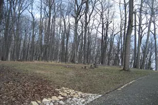 10504 Warland Rd, Marshall, VA 20115 - Photo 54