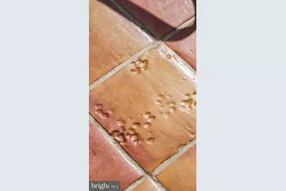 4094 Whiting Road, Marshall, VA 20115 - Photo 72