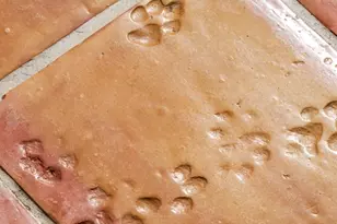 4094 Whiting Rd, Marshall, VA 20115 - Photo 68