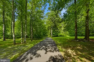 3665 Creels Ln, The Plains, VA 20198 - Photo 96
